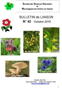 B ULLETIN de LIAISON N ° 4 2 Octobre 201 8